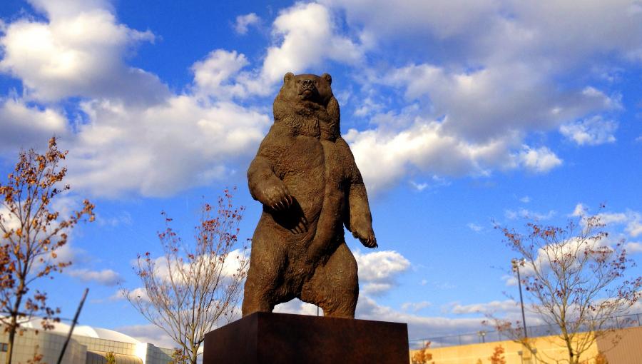 brown university bears logo